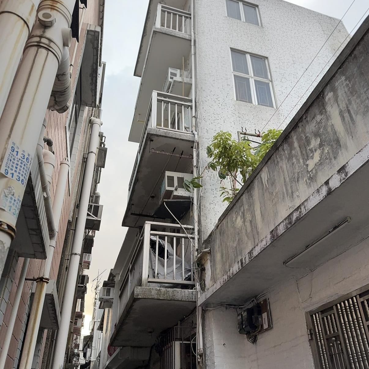 村屋清拆僭建－命令及僭建處理工程紀錄相片
